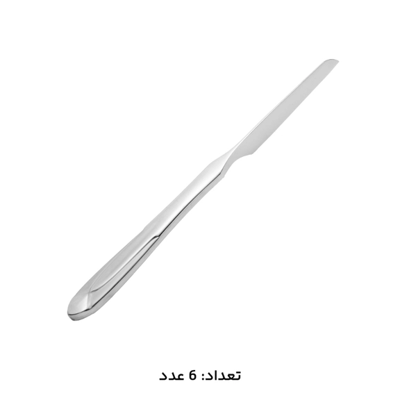 سرویس کارد و چنگال 12 پارچه ام جی اس مدل DF020 - Image 3